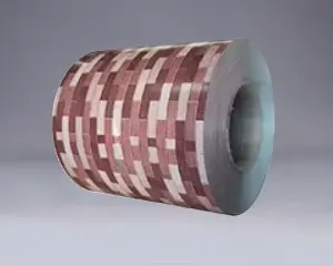 PPGI PPGL ritė